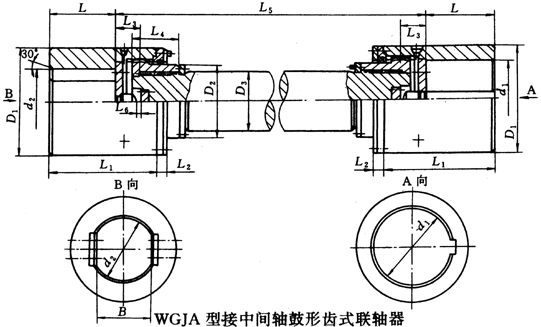 WGJͽgSXʽ(lin)Sμbߴ磨JB/T8821-98